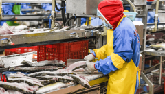 同步开展快检流程演