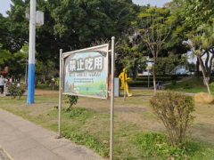 野生蘑菇难以分辩有毒